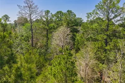 224 Pine Valley Drive, Paige, TX 78659 - Photo 24