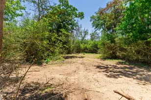 224 Pine Valley Dr, Paige, TX 78659 - Photo 1