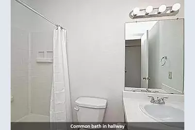 17204 Ardisia Drive, Pflugerville, TX 78660 - Photo 16