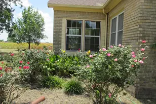 12610 Pecan School Road Rd, Bartlett, TX 76511 - Photo 18