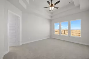 903 Sheepdog Cove, Liberty Hill, TX 78642 - Photo 14