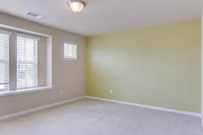 4503 Cervinia Drive, Round Rock, TX 78665 - Photo 34