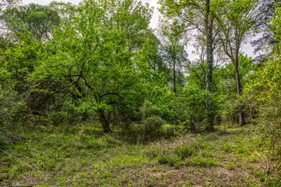 242 Cody Lane, Bastrop, TX 78602 - Photo 30