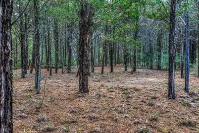 242 Cody Lane, Bastrop, TX 78602 - Photo 4