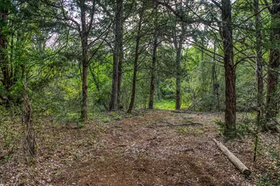 242 Cody Lane, Bastrop, TX 78602 - Photo 28
