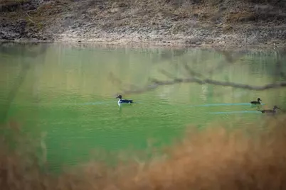 0 County Road 476 Road, Brady, TX 76872 - Photo 10