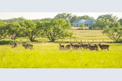 0 County Road 476 Road, Brady, TX 76872 - Photo 2