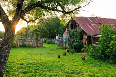 3724 Ranch Road 3347, Round Mountain, TX 78663 - Photo 32