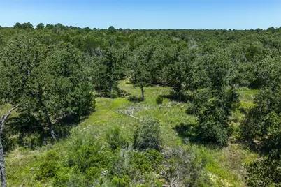 492 S Old Potato Road, Paige, TX 78659 - Photo 8