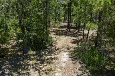492 S Old Potato Road, Paige, TX 78659 - Photo 4