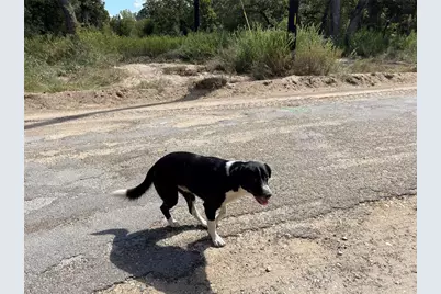 1300 Cypress Trail Loop, Rockdale, TX 76567 - Photo 24