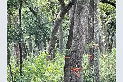 1300 Cypress Trail Loop, Rockdale, TX 76567 - Photo 10