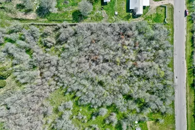 Tbd Shiloh Road, Bastrop, TX 78602 - Photo 22