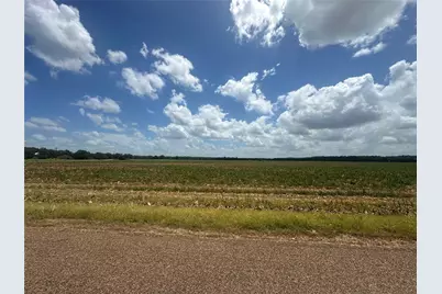 0000 Rabbs Prairie Road, La Grange, TX 78945 - Photo 4