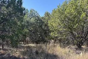 Lot K10037 Drew Drop, Horseshoe Bay, TX 78657 - Photo 16