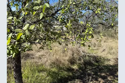 Lot 187 Longmont Street, Kingsland, TX 78639 - Photo 18
