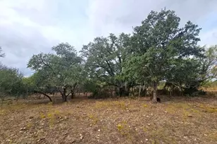 415 Black Watch Ln, Lockhart, TX 78644 - Photo 1