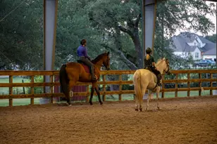 5200 Bell Springs Rd, Dripping Springs, TX 78620 - Photo 36