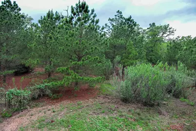 172 Kelley Road, Bastrop, TX 78602 - Photo 14