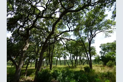 5771 Hilliard Road, San Marcos, TX 78666 - Photo 10