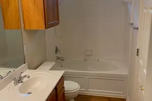 14301 Pebble Run Path, Manor, TX 78653 - Photo 14