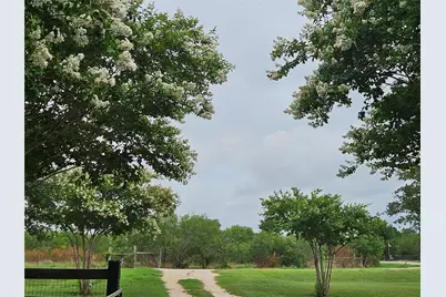 479 Mesquite Drive, Cedar Creek, TX 78612 - Photo 30