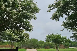 479 Mesquite Dr, Cedar Creek, TX 78612 - Photo 30