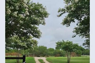 479 Mesquite Drive, Cedar Creek, TX 78612 - Photo 30