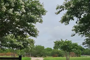 479 Mesquite Dr, Cedar Creek, TX 78612 - Photo 30