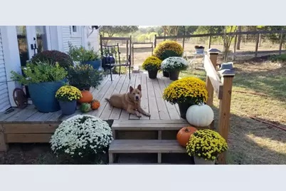 479 Mesquite Drive, Cedar Creek, TX 78612 - Photo 32