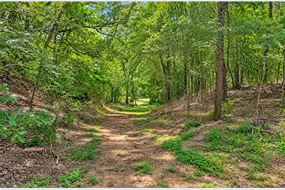213 River Front Drive, Cedar Creek, TX 78612 - Photo 30