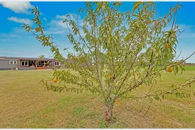 213 River Front Drive, Cedar Creek, TX 78612 - Photo 24
