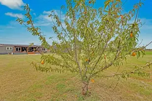 213 River Front Dr, Cedar Creek, TX 78612 - Photo 24