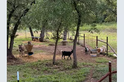 1315 W New Hope Drive, Cedar Park, TX 78613 - Photo 14