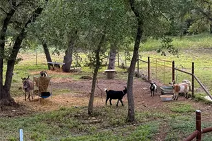 1315 W New Hope Dr, Cedar Park, TX 78613 - Photo 14