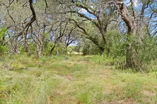 1019 Fm 3509, Burnet, TX 78611 - Photo 20