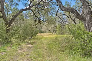 1019 Fm 3509, Burnet, TX 78611 - Photo 12