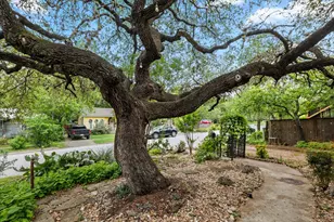 708 W Elizabeth St, Austin, TX 78704 - Photo 40