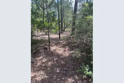 Lot 1252 Tba Hanauma Drive, Bastrop, TX 78602 - Photo 4