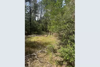 Lot 1252 Tba Hanauma Drive, Bastrop, TX 78602 - Photo 10