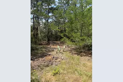 Lot 1252 Tba Hanauma Drive, Bastrop, TX 78602 - Photo 2