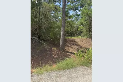 Lot 1252 Tba Hanauma Drive, Bastrop, TX 78602 - Photo 1