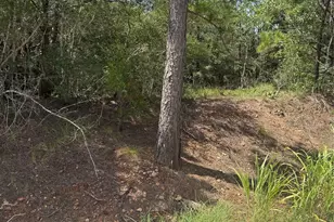 Lot 1252 Tba Hanauma Dr, Bastrop, TX 78602 - Photo 1