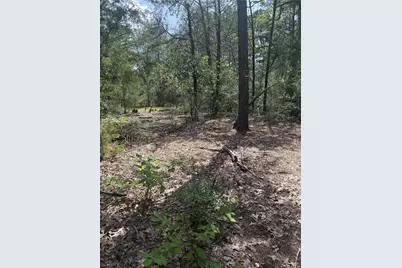 Lot 1252 Tba Hanauma Drive, Bastrop, TX 78602 - Photo 8