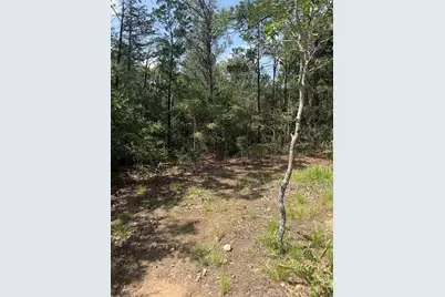 Lot 1252 Tba Hanauma Drive, Bastrop, TX 78602 - Photo 6