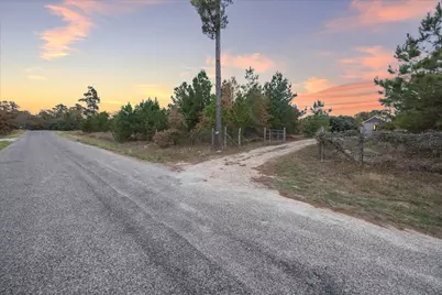 364 Ponderosa Loop, Paige, TX 78659 - Photo 28