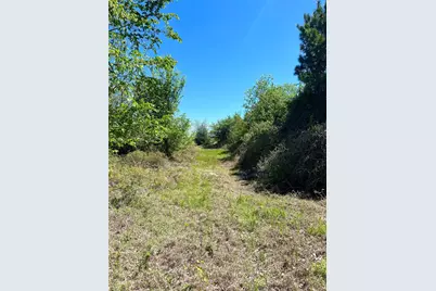 2654 County Road 329, Lincoln, TX 78948 - Photo 20