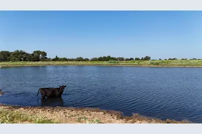 2039 County Road 326, Giddings, TX 78942 - Photo 10