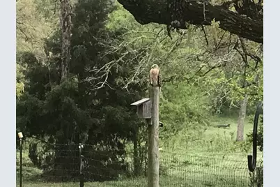 298 Jenkins. Road, Cedar Creek, TX 78612 - Photo 38