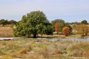 125 Smoke Signal Ct, Liberty Hill, TX 78642 - Photo 8